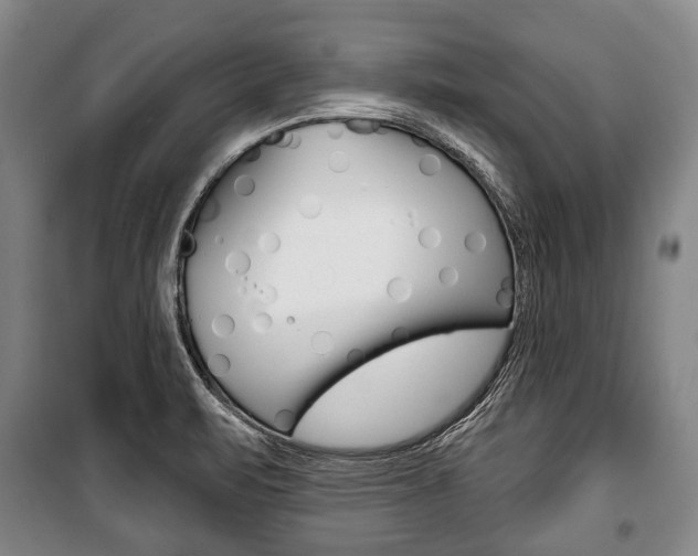 X0000101201471200806270818