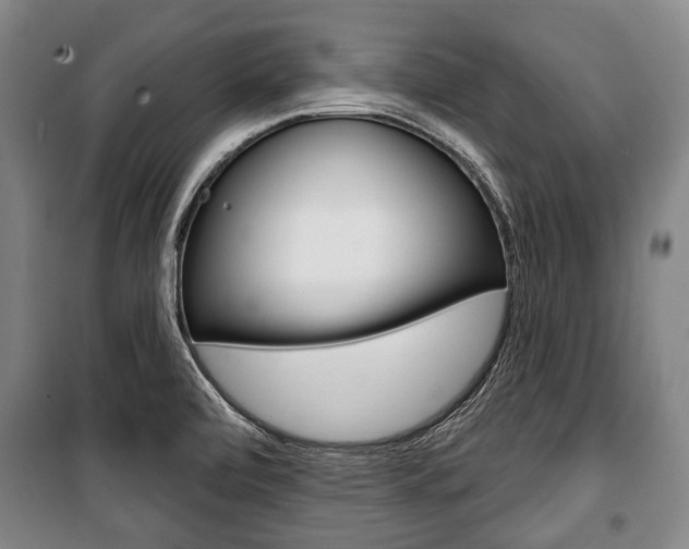 X0000101201472200806270818