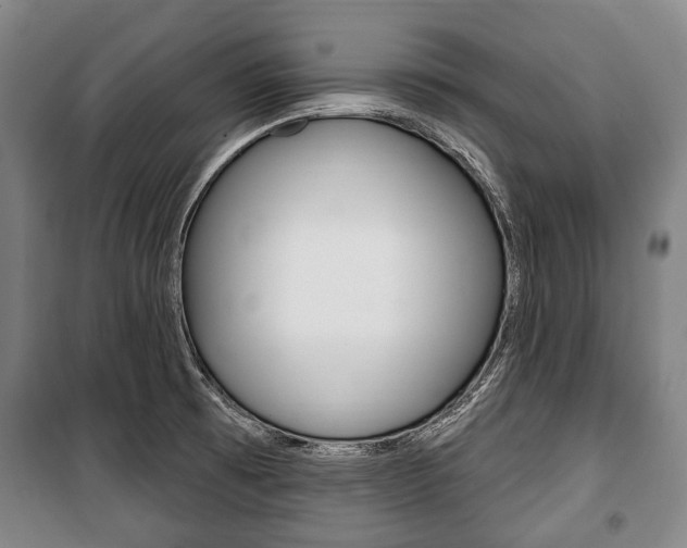 X0000101201473200806270818