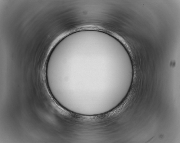 X0000101201474200806270818