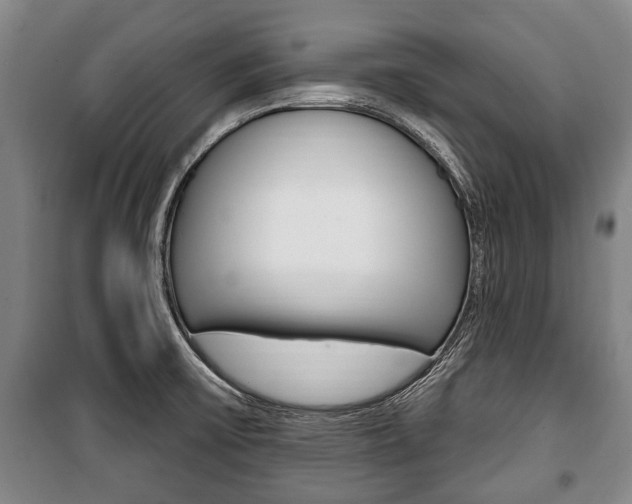 X0000101201475200806270818