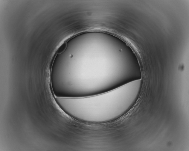 X0000101201476200806270818