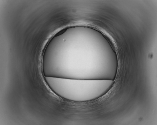 X0000101201477200806270818