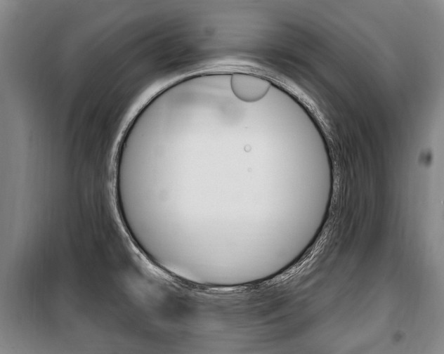 X0000101201478200806270818