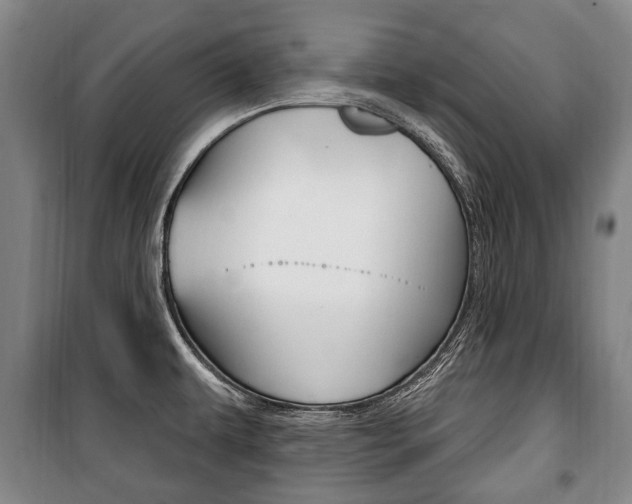X0000101201479200806270818