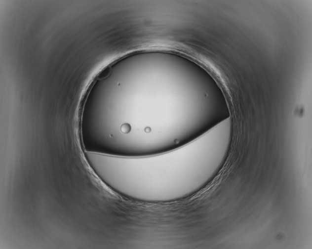 X0000101201480200806270818