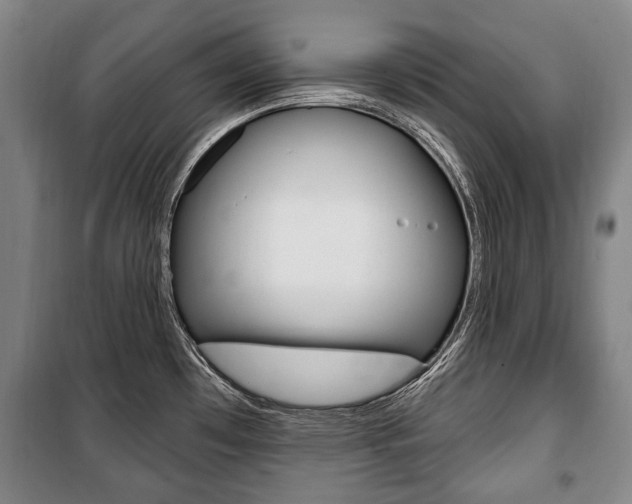X0000101201481200806270818