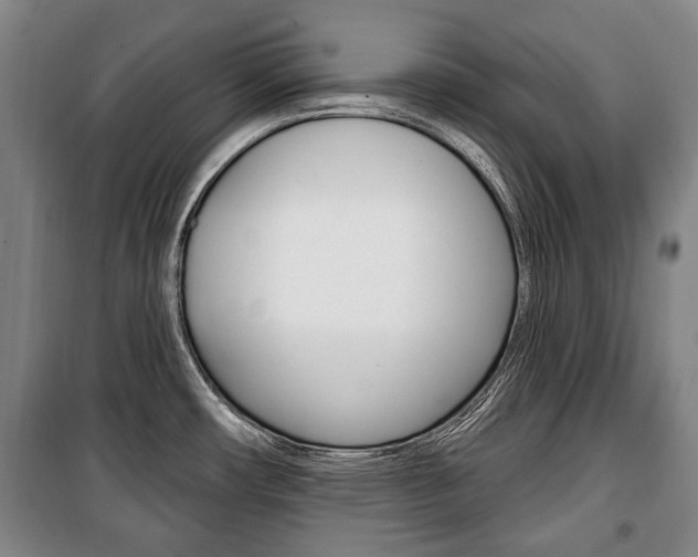 X0000101201482200806270818