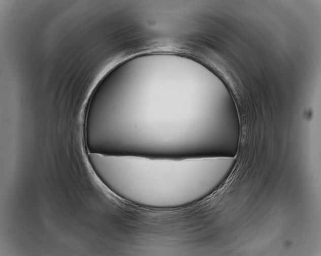 X0000101201483200806270818