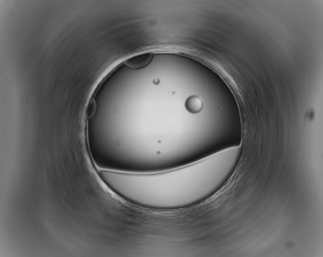 X0000101201484200806270818
