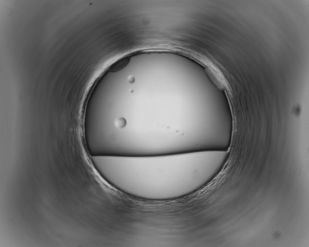 X0000101201485200806270818