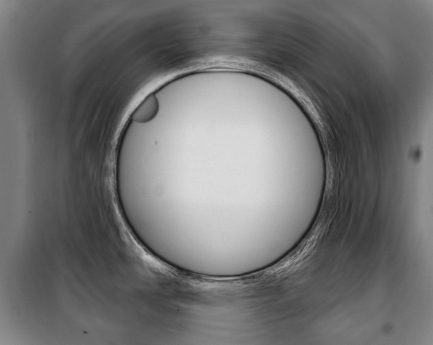 X0000101201486200806270818