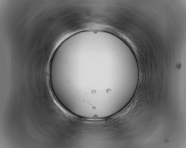 X0000101201487200806270818