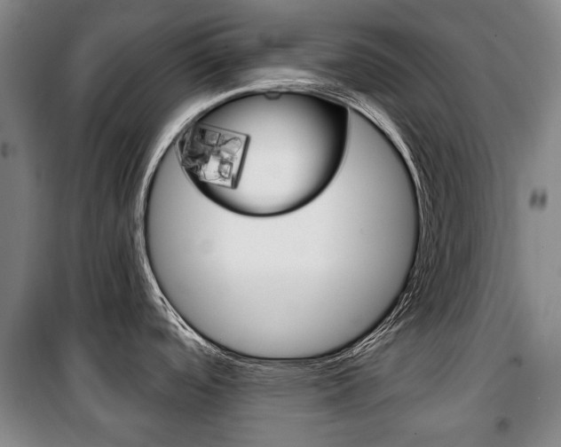 X0000101201488200806270818