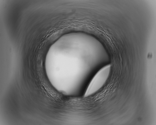 X0000101201489200806270817