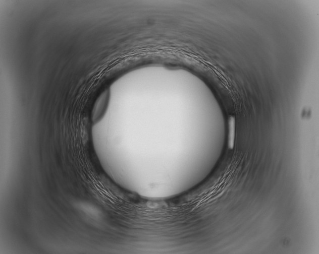 X0000101201491200806270817