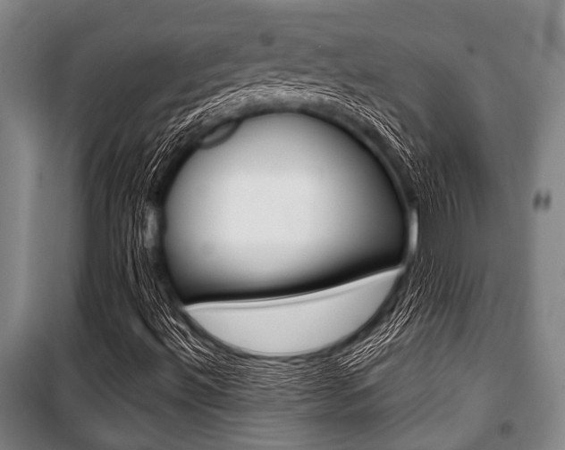 X0000101201492200806270817