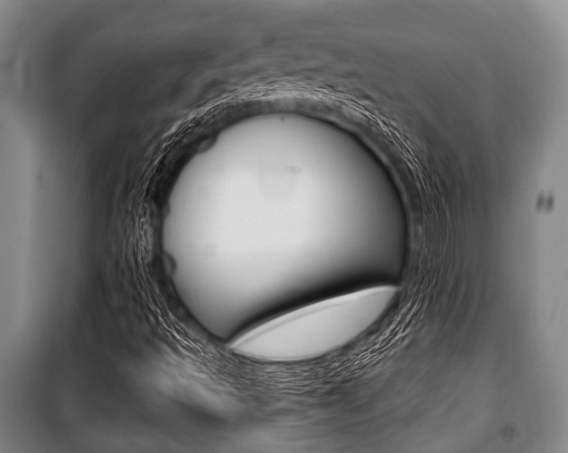 X0000101201493200806270817
