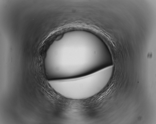 X0000101201494200806270817