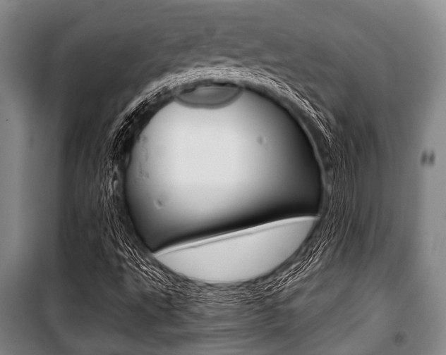 X0000101201495200806270817