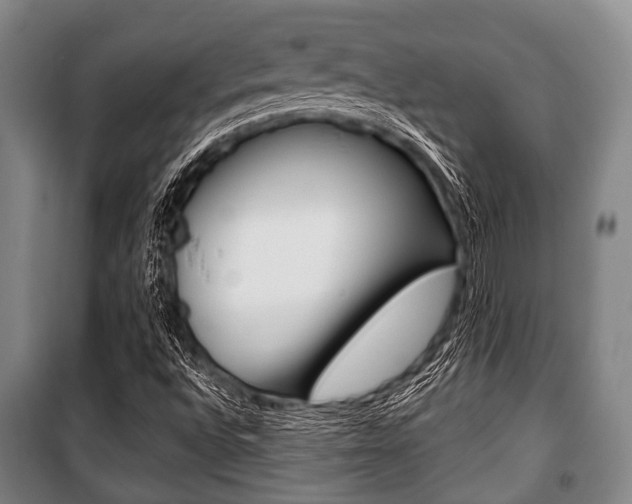 X0000101201496200806270817