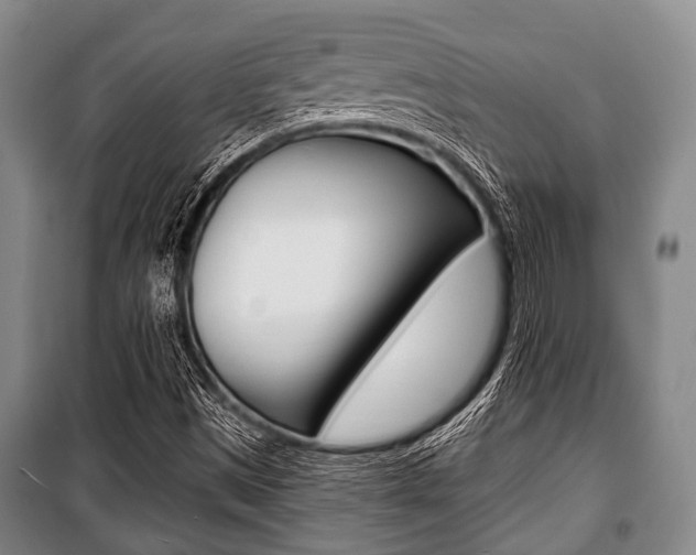 X0000101201497200806270817