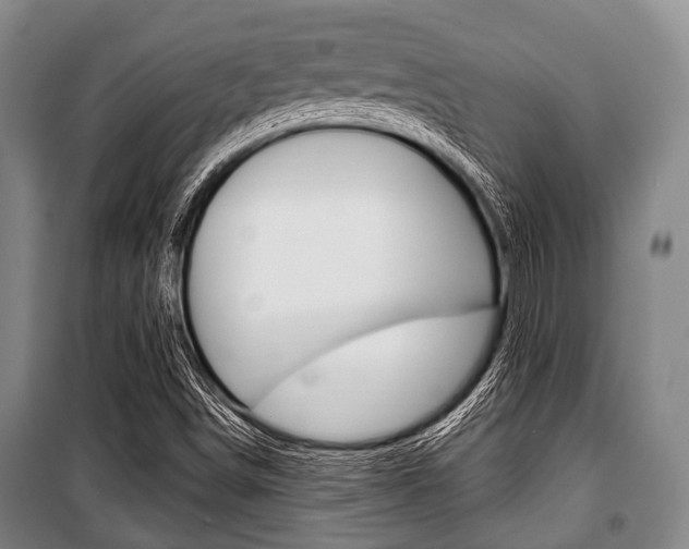 X0000101201498200806270817