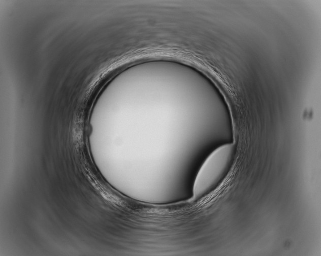 X0000101201499200806270817