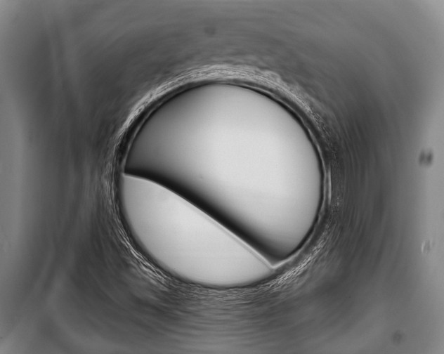 X0000101201501200806270817
