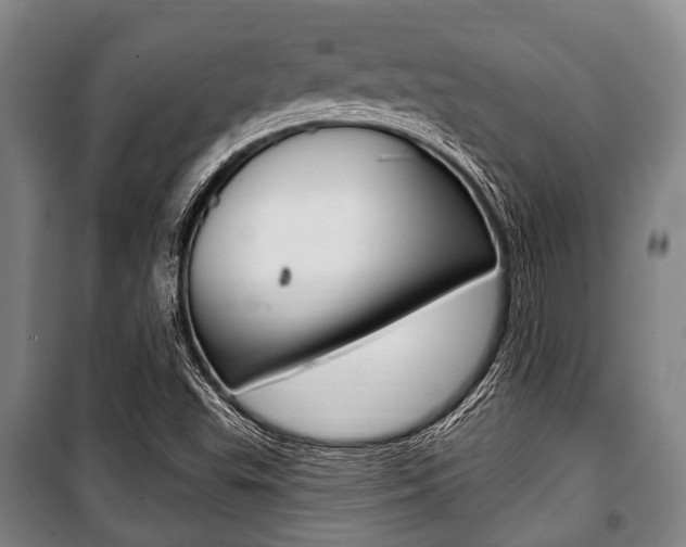 X0000101201503200806270817