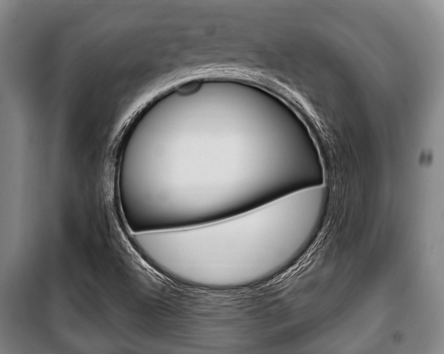 X0000101201504200806270817