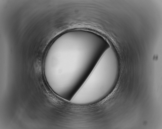X0000101201505200806270817