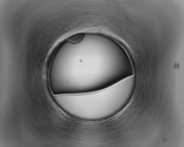 X0000101201506200806270817