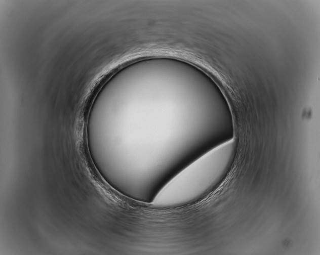 X0000101201507200806270817
