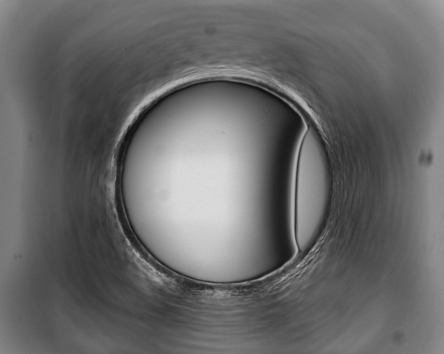 X0000101201508200806270817