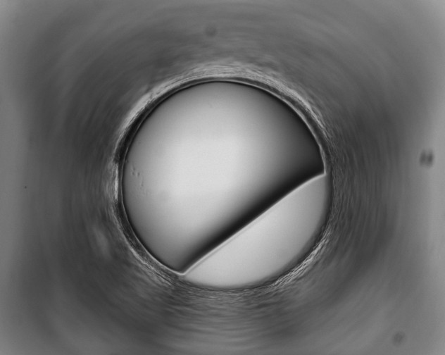 X0000101201509200806270817