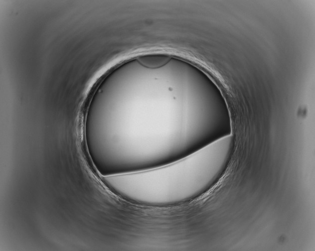 X0000101201510200806270817