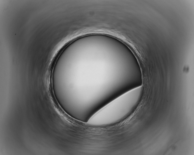 X0000101201511200806270817