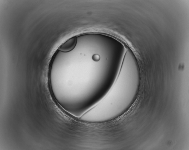 X0000101201512200806270817