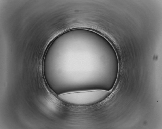 X0000101201513200806270817