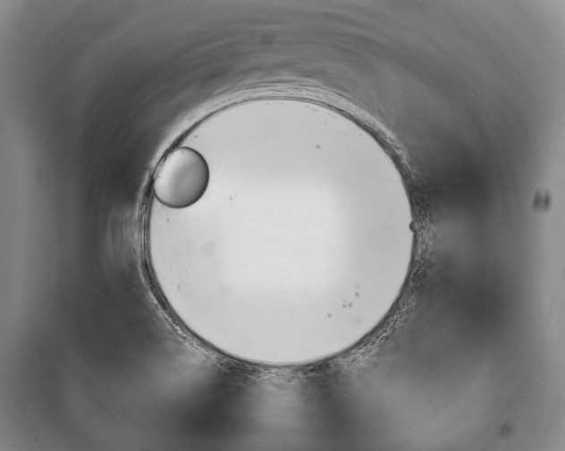 X0000101201514200806270817