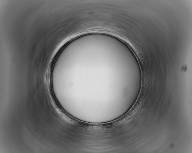 X0000101201515200806270817