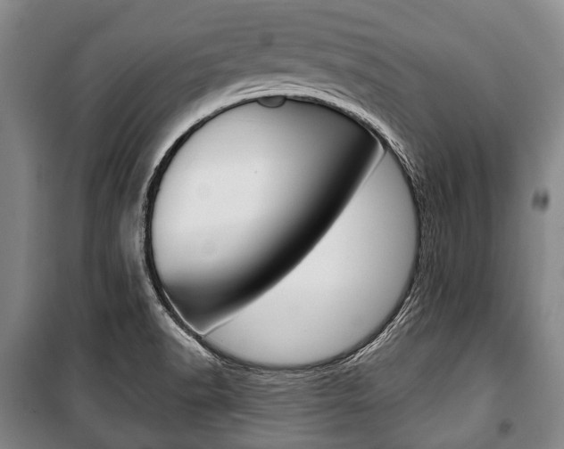 X0000101201518200806270817