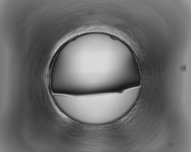 X0000101201519200806270817