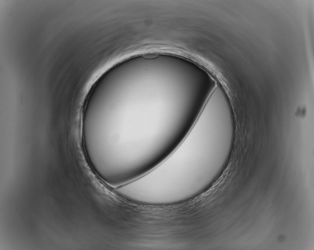 X0000101201520200806270817