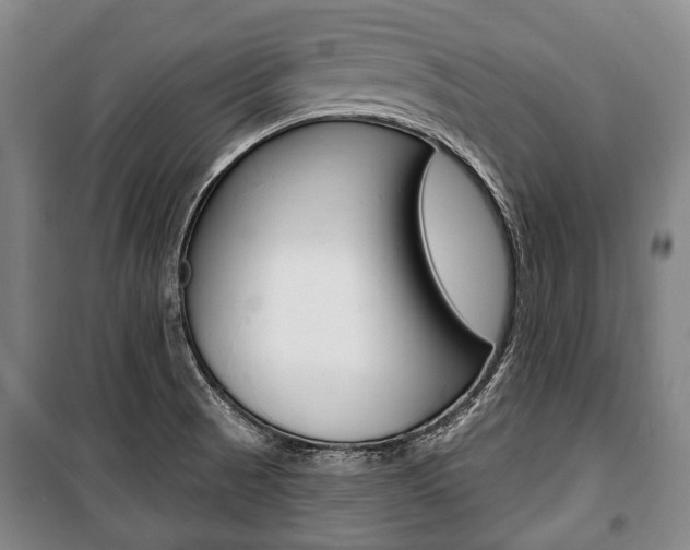 X0000101201521200806270817