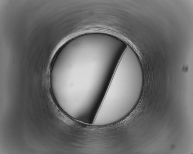 X0000101201522200806270817