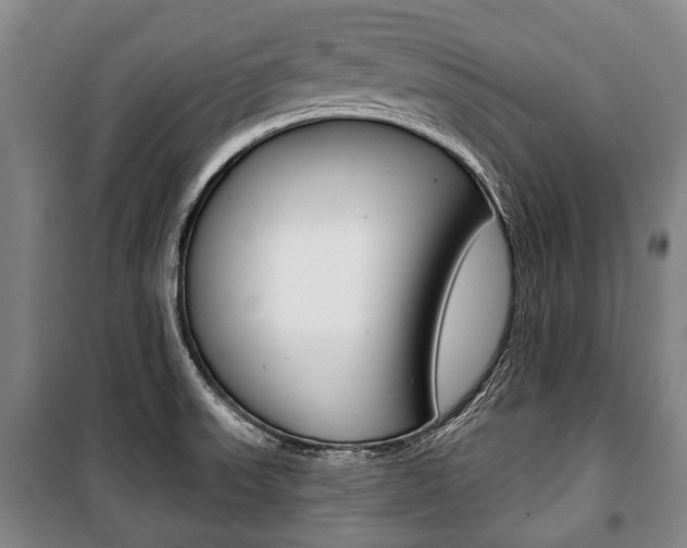 X0000101201523200806270817