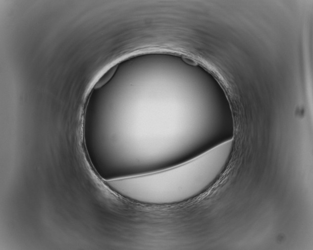 X0000101201524200806270817