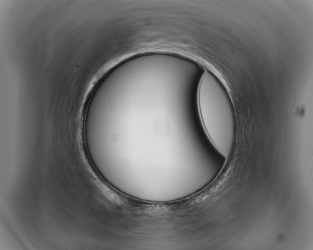 X0000101201525200806270817